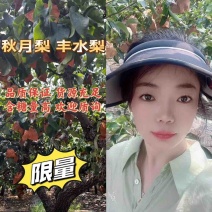 梨，精品丰水梨，含糖量可达14个产地一手货源