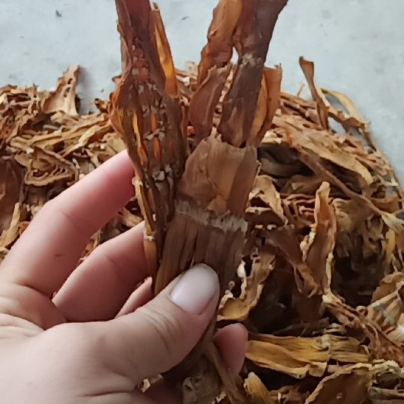 笋干