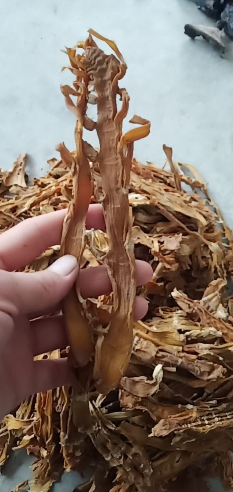 笋干