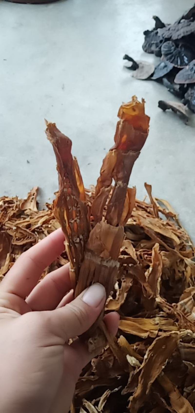 笋干