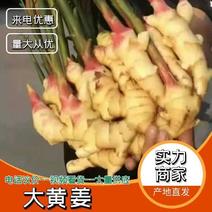 【红芽鲜姜】产地大量批发市场商超电商零售存库