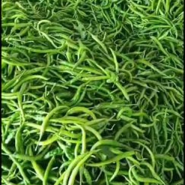 精品辣椒陕西渭南鲜辣椒，线椒，新鲜上市，欢迎咨询