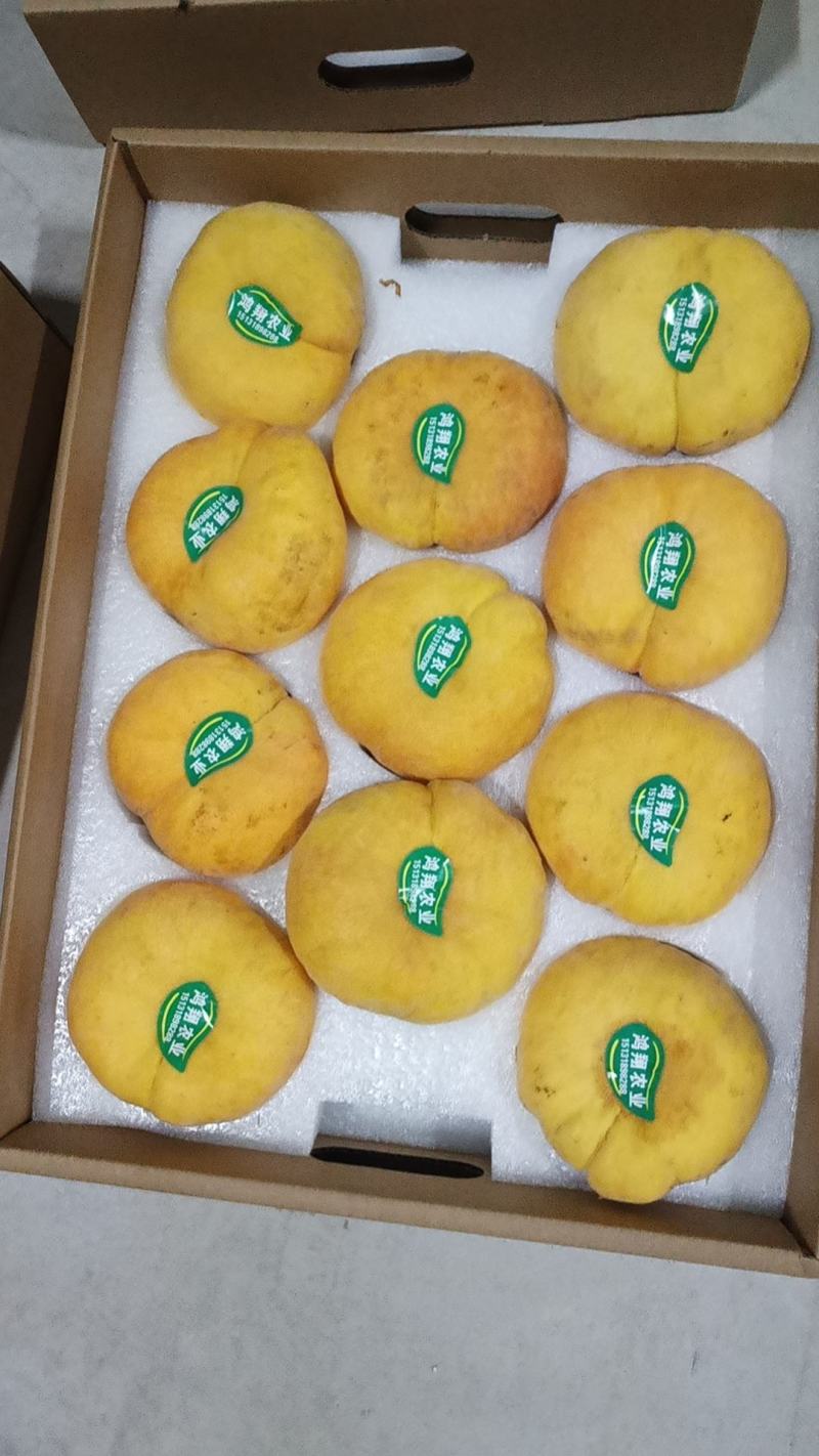 瑞潘101大量现货，口感好质量佳，价格优惠