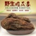 正品锁阳肉苁蓉整个新货无硫新疆肉苁蓉可切片金锁阳