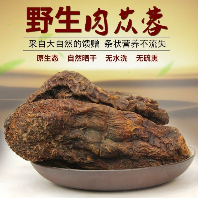 正品锁阳肉苁蓉整个新货无硫新疆肉苁蓉可切片金锁阳