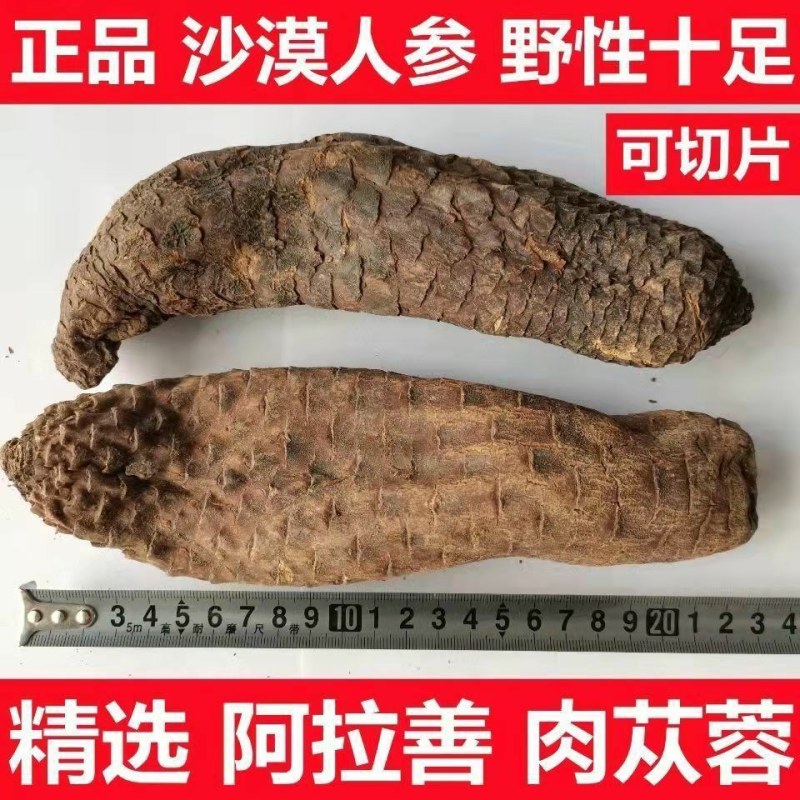 正品锁阳肉苁蓉整个新货无硫新疆肉苁蓉可切片金锁阳