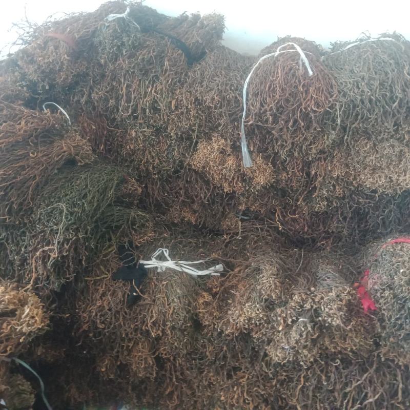 优质干豆角脱水长豆角，大量有货，已打包好，量大从优