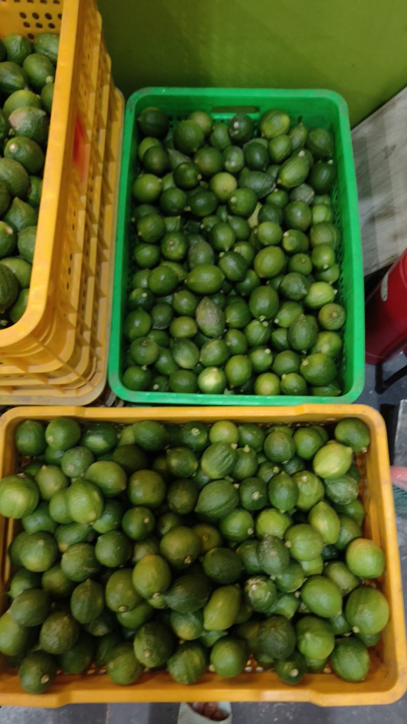 广东香水柠檬