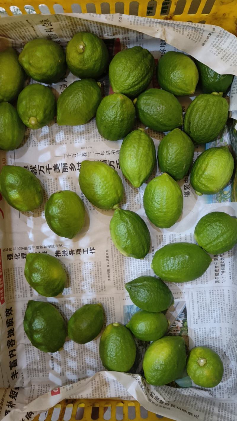 广东香水柠檬