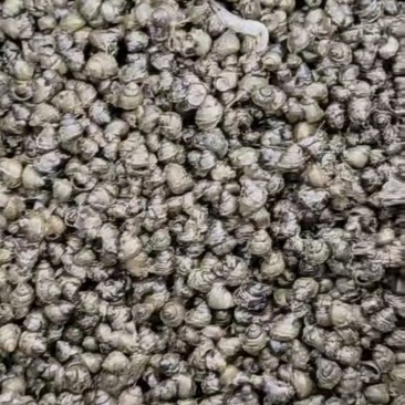 螺丝出售江浙沪皖闽长期有货