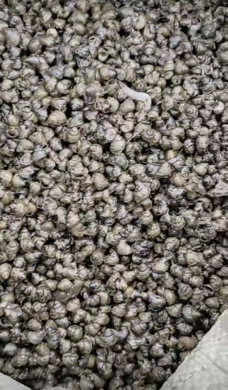 螺丝出售江浙沪皖闽长期有货