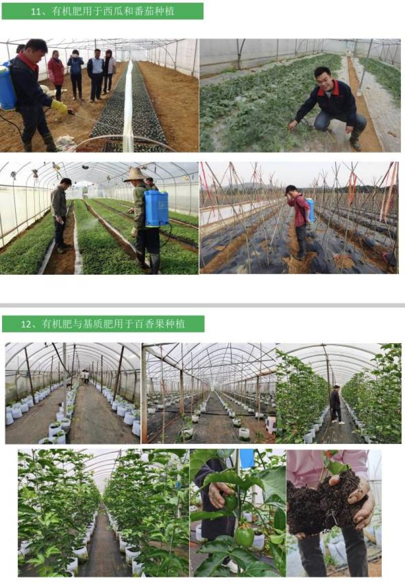 肥料、有机肥、纯鸡粪生物有机肥、菌肥，厂家直销