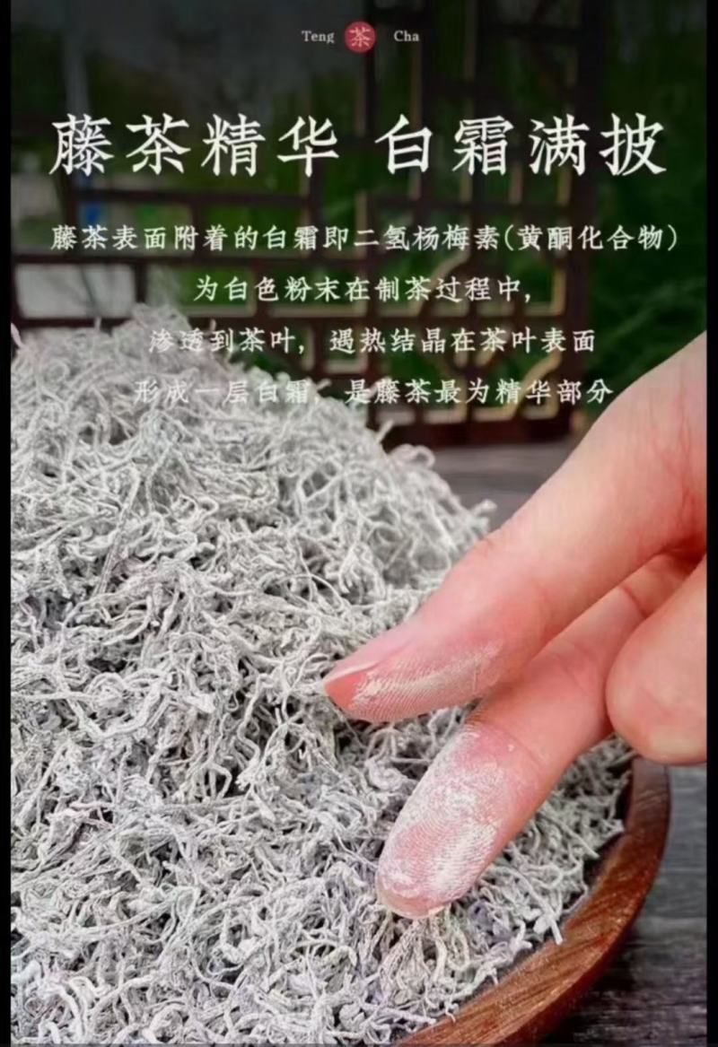 来凤藤茶