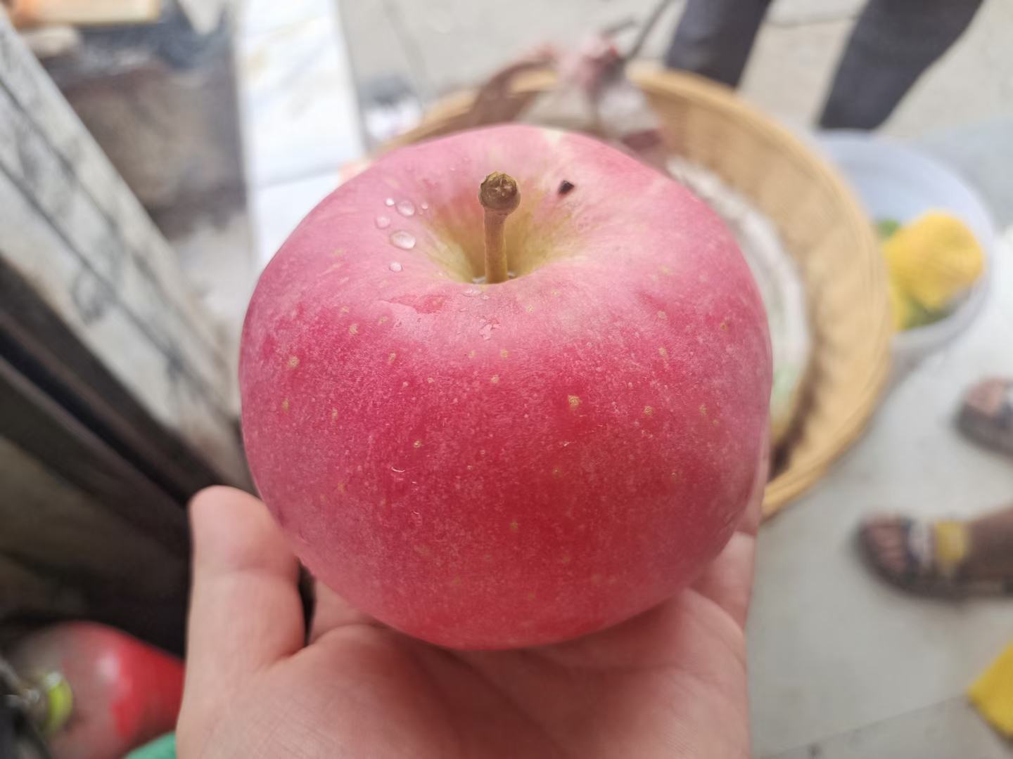 山椒与花椒对比图