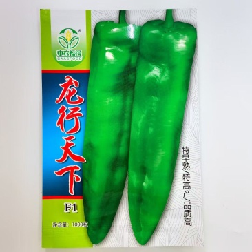 龙行天下辣椒种子早熟粗牛角辣椒种子特大果高产抗病耐高温