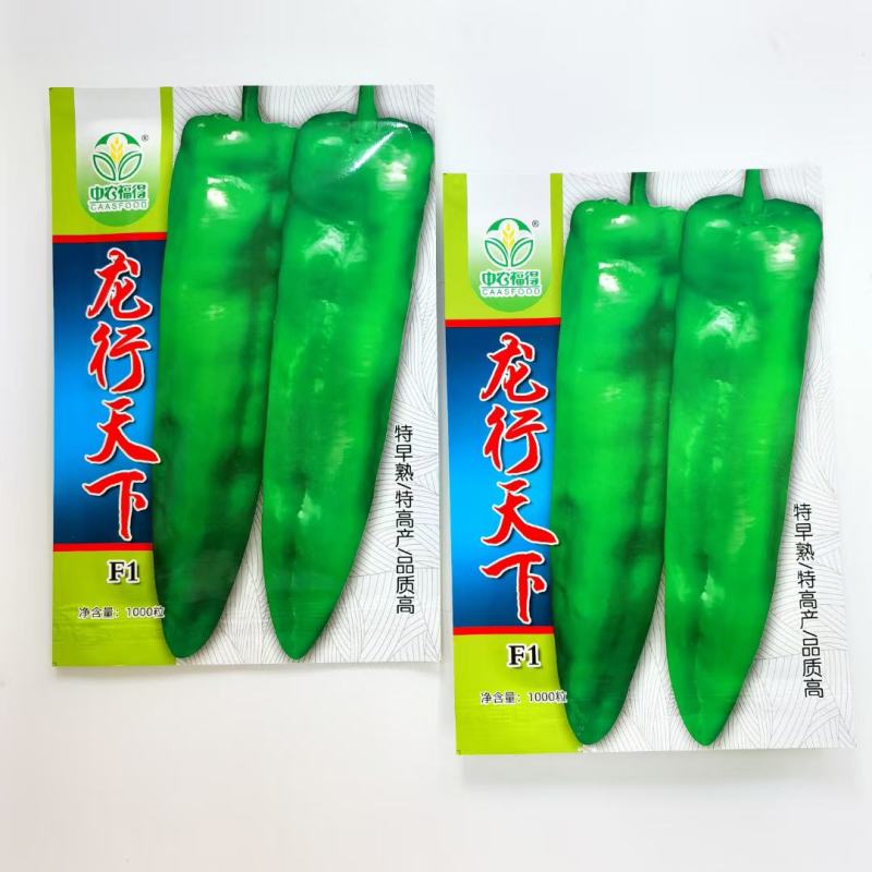 龙行天下辣椒种子早熟粗牛角辣椒种子特大果高产抗病耐高温