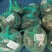 江苏兴化螃蟹产地精品蟹经营精品蟹跳高蟹铺货都有