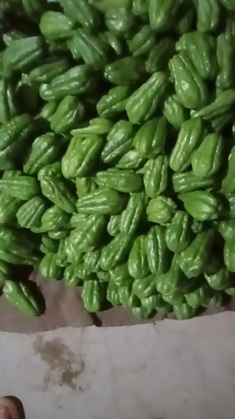 新鲜的蔬菜