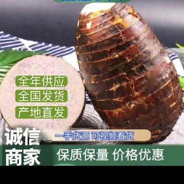 广西桂林荔浦大量香芋头品质好需要的在一亩田联系我谢谢