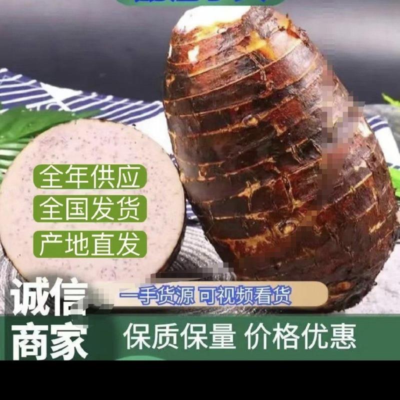 广西桂林荔浦大量香芋头品质好需要的在一亩田联系我谢谢