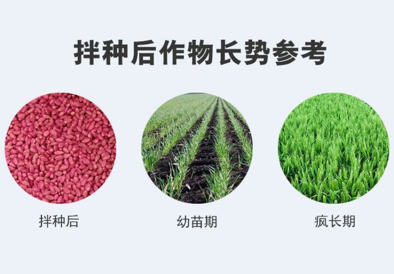 小麦拌种剂苯醚咯噻虫杀虫杀菌防蚜虫防病增产种子包衣剂批发