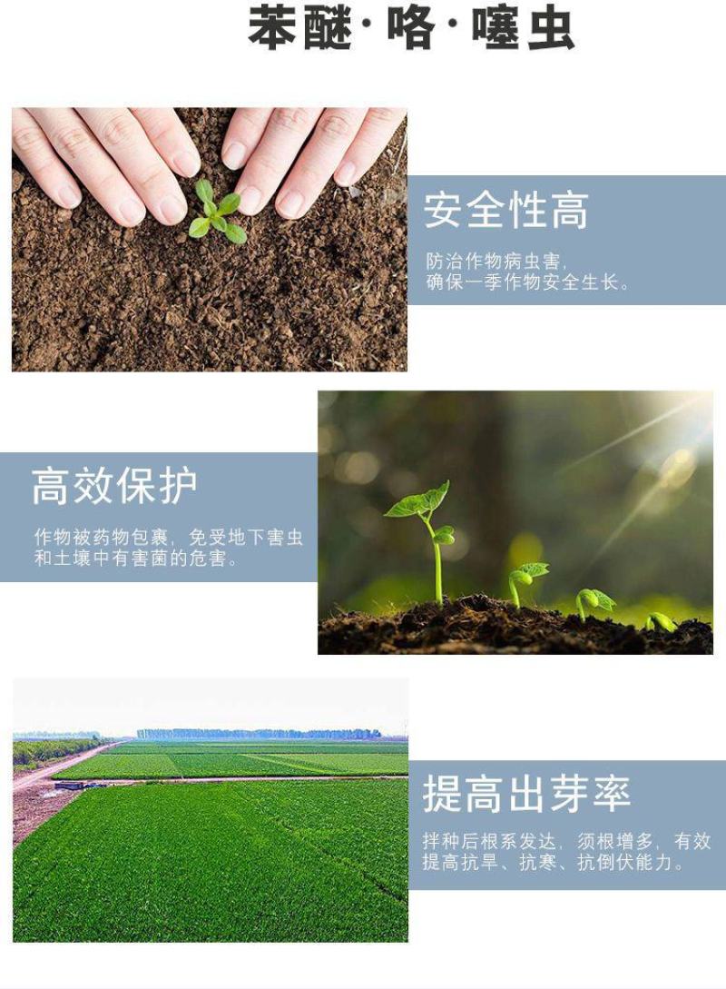小麦拌种剂苯醚咯噻虫杀虫杀菌防蚜虫防病增产种子包衣剂批发