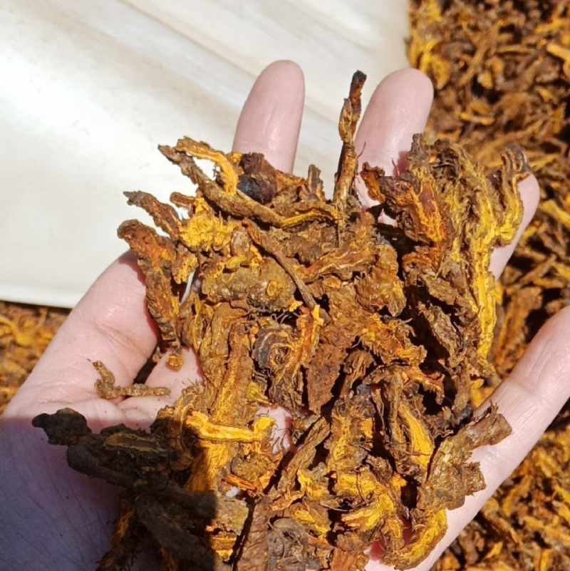 鸡爪黄莲中药材品质保证全国诚信经营