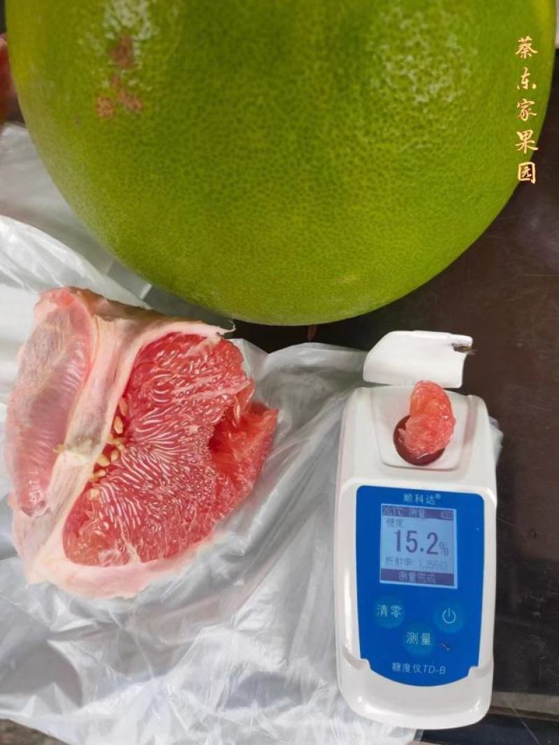 9月中发货红宝石青柚超嫩果肉甜度好红肉青柚一件代发批发