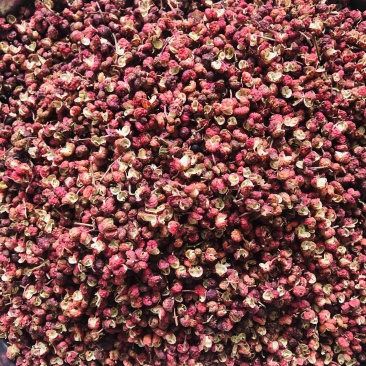 2025新大红袍花椒特级香花椒颗粒麻香十足饭店家庭专用