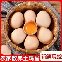 （热卖中）山东潍坊土鸡蛋鲜鸡蛋黑凤蛋笨鸡蛋全国接单一件代
