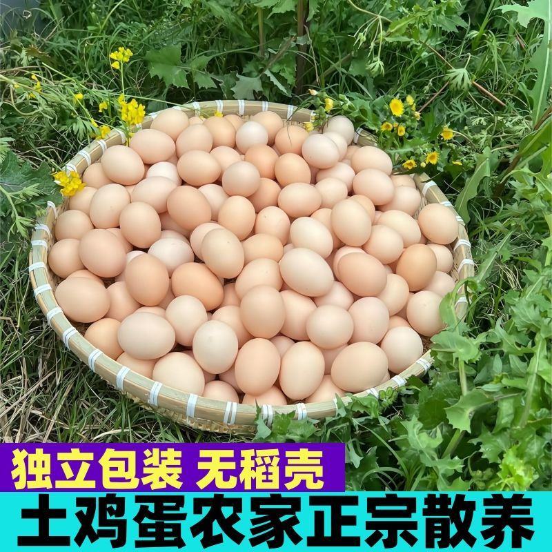 （热卖中）山东潍坊土鸡蛋鲜鸡蛋黑凤蛋笨鸡蛋全国接单一件代