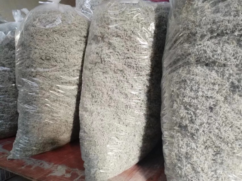张家界永定区高山藤茶大量供应中品质保证口感细腻霉茶