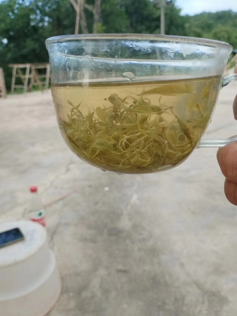 张家界永定区高山藤茶大量供应中品质保证口感细腻霉茶