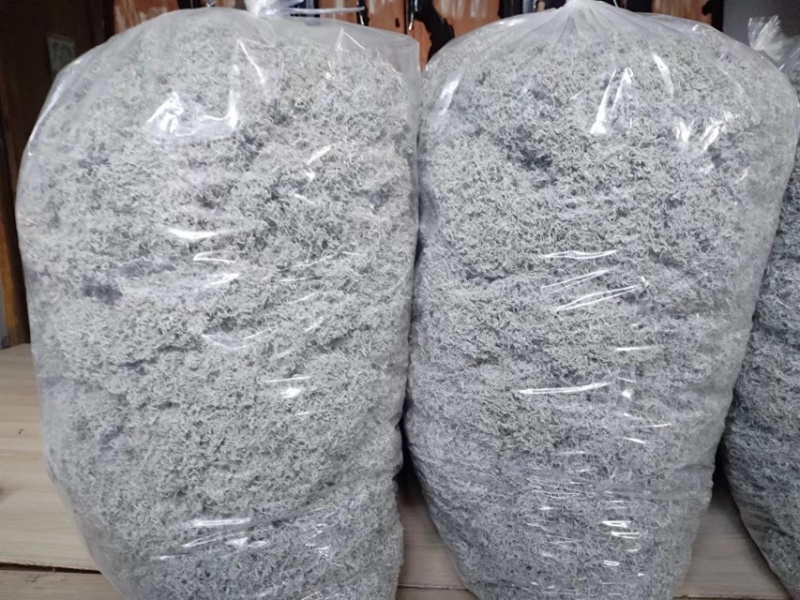 张家界永定区高山藤茶大量供应中品质保证口感细腻霉茶