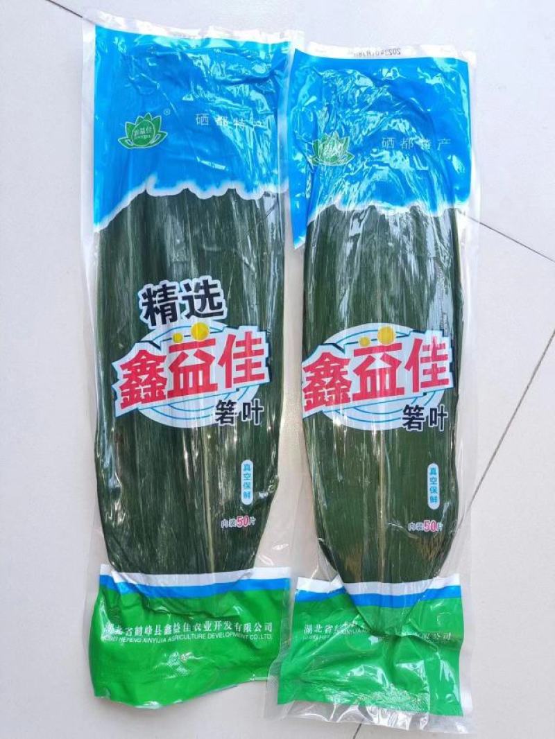 【推荐】鑫益佳保鲜真空粽叶大量上市厂家直供对接电商常年有