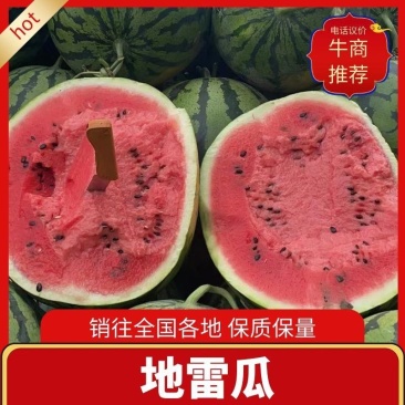 [热卖庆红999]地雷瓜松原产地直发全国市场商超量大从优电联