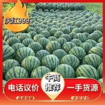 [热卖]吉林西瓜产区现摘现发现货供应我在产地