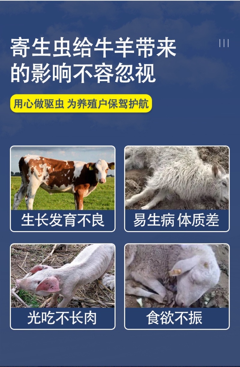 蛊全净