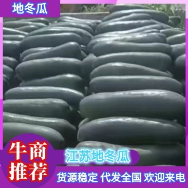 广西地冬瓜大量供应产地直发价格美丽欢迎来电