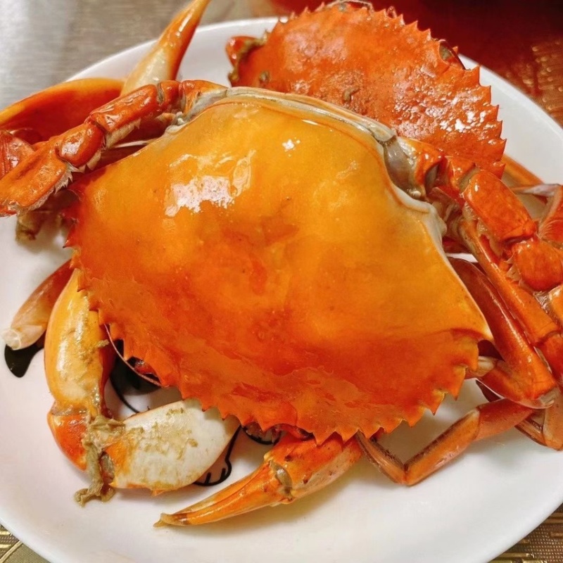 红膏蟹青蟹肉蟹质量杠杠滴