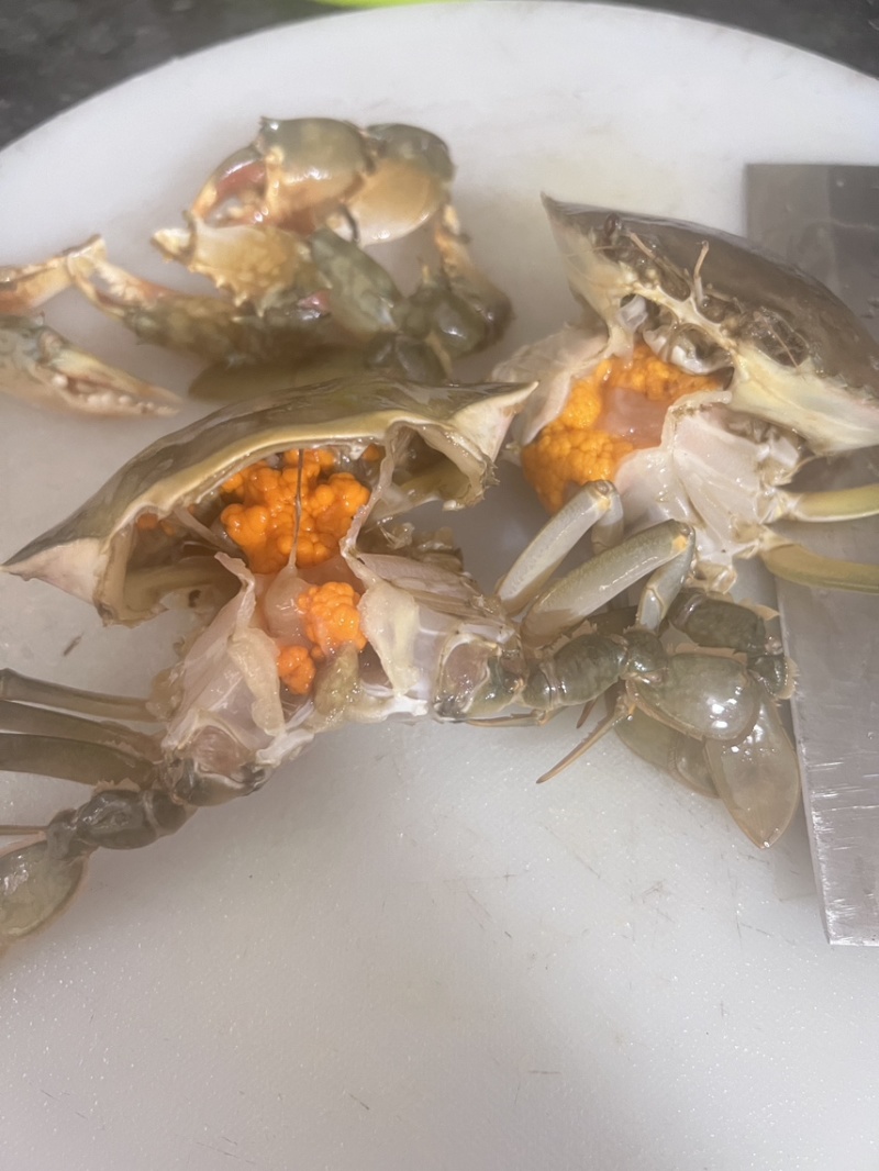 红膏蟹青蟹肉蟹质量杠杠滴