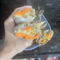 红膏蟹青蟹肉蟹质量杠杠滴