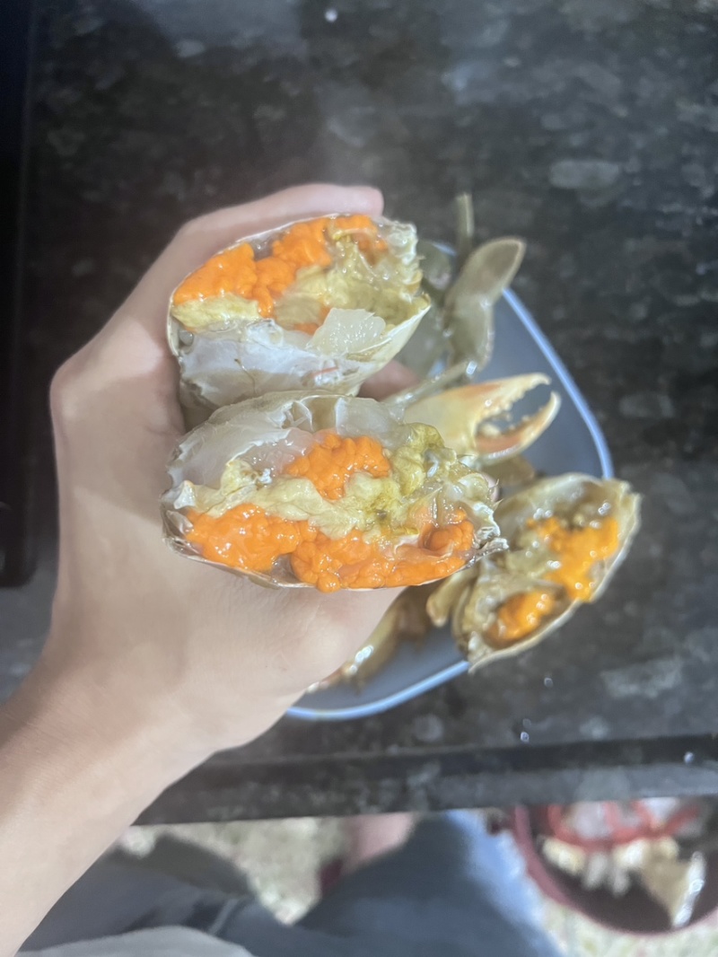红膏蟹青蟹肉蟹质量杠杠滴