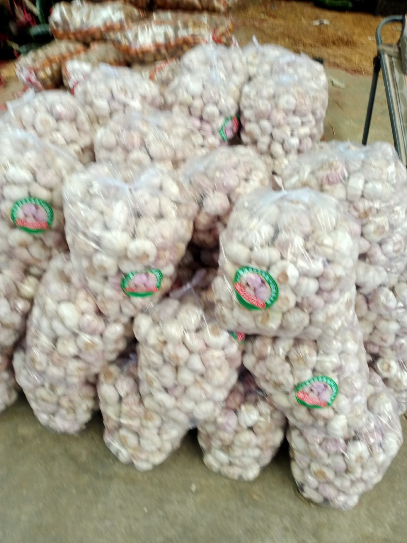 蒜苔大蒜白菜甘蓝
