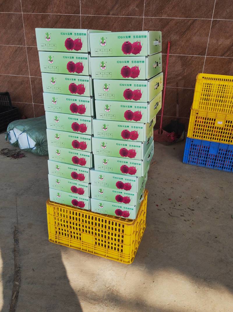 精品红心火龙果，品质保证包装精美，产地直发欢迎选购