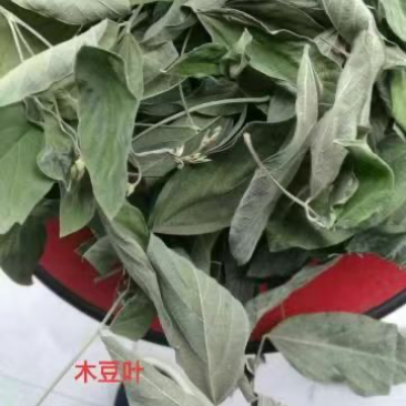 木豆叶木豆枝叶木豆根
