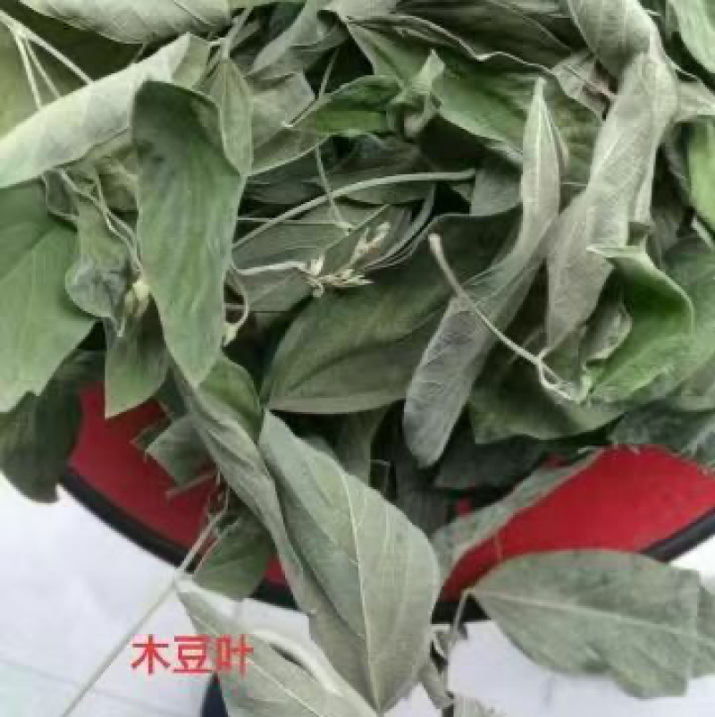 木豆叶木豆枝叶木豆根