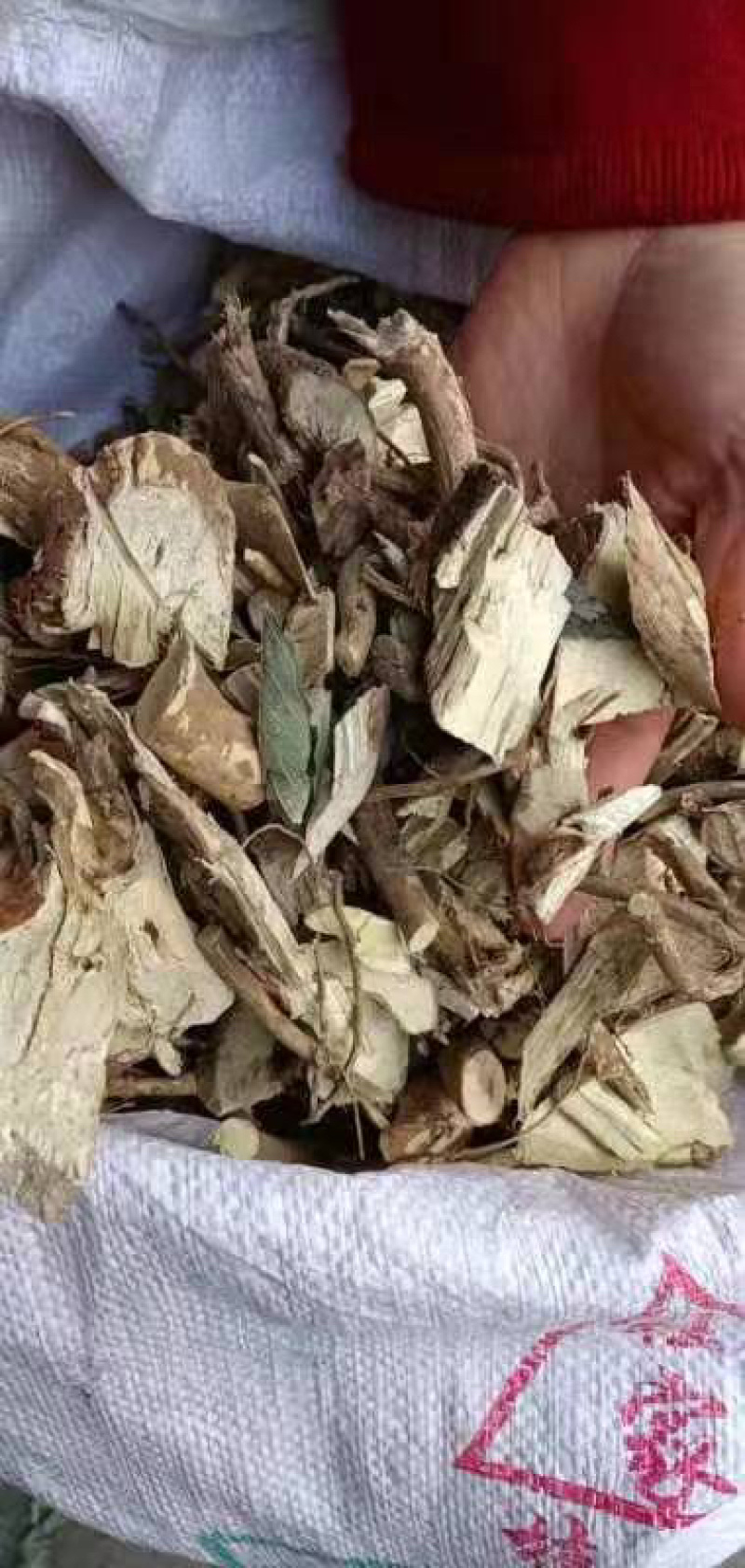 木豆叶木豆枝叶木豆根