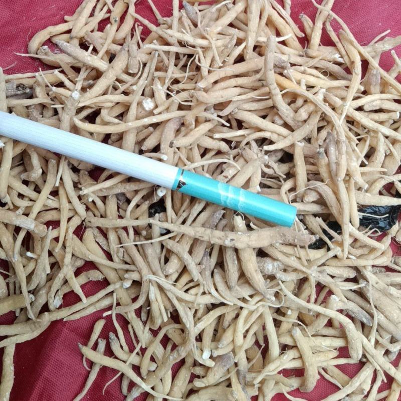 出售太子参通货