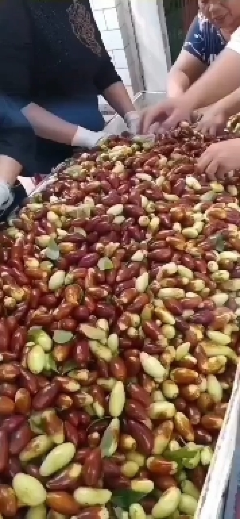 马牙栆自然熟口感甜脆